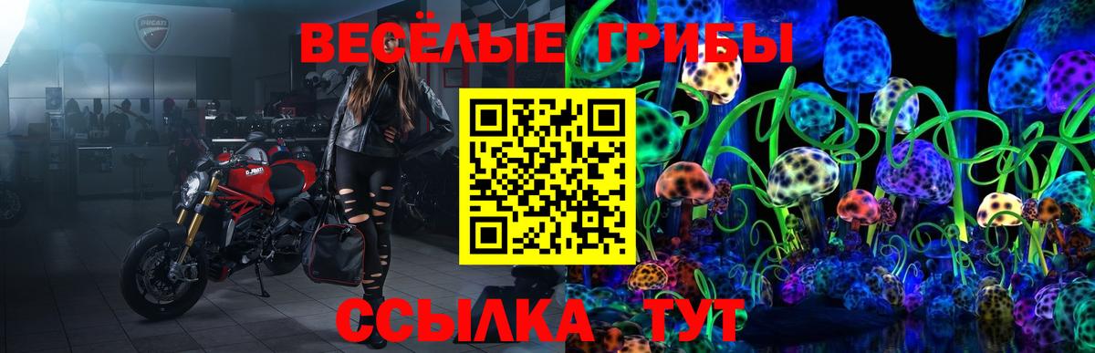 Галлюциногенные грибы Cubensis Дзержинск